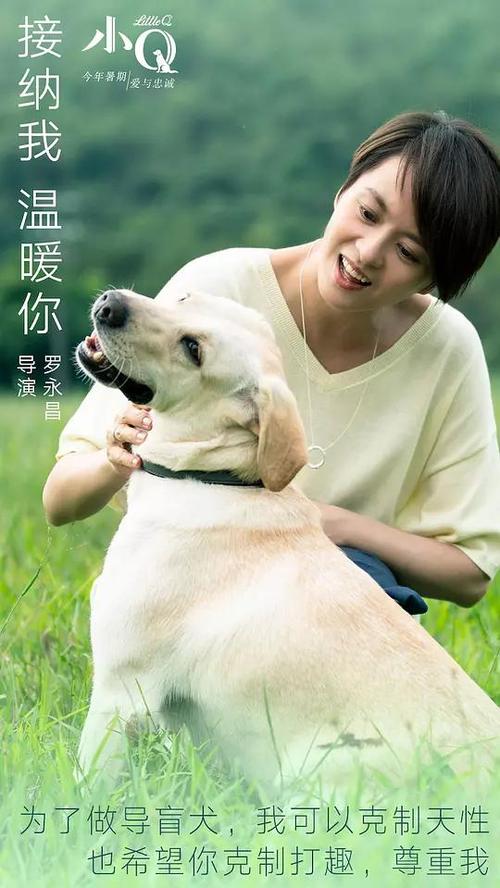 俄亥俄州中部技术学院文凭